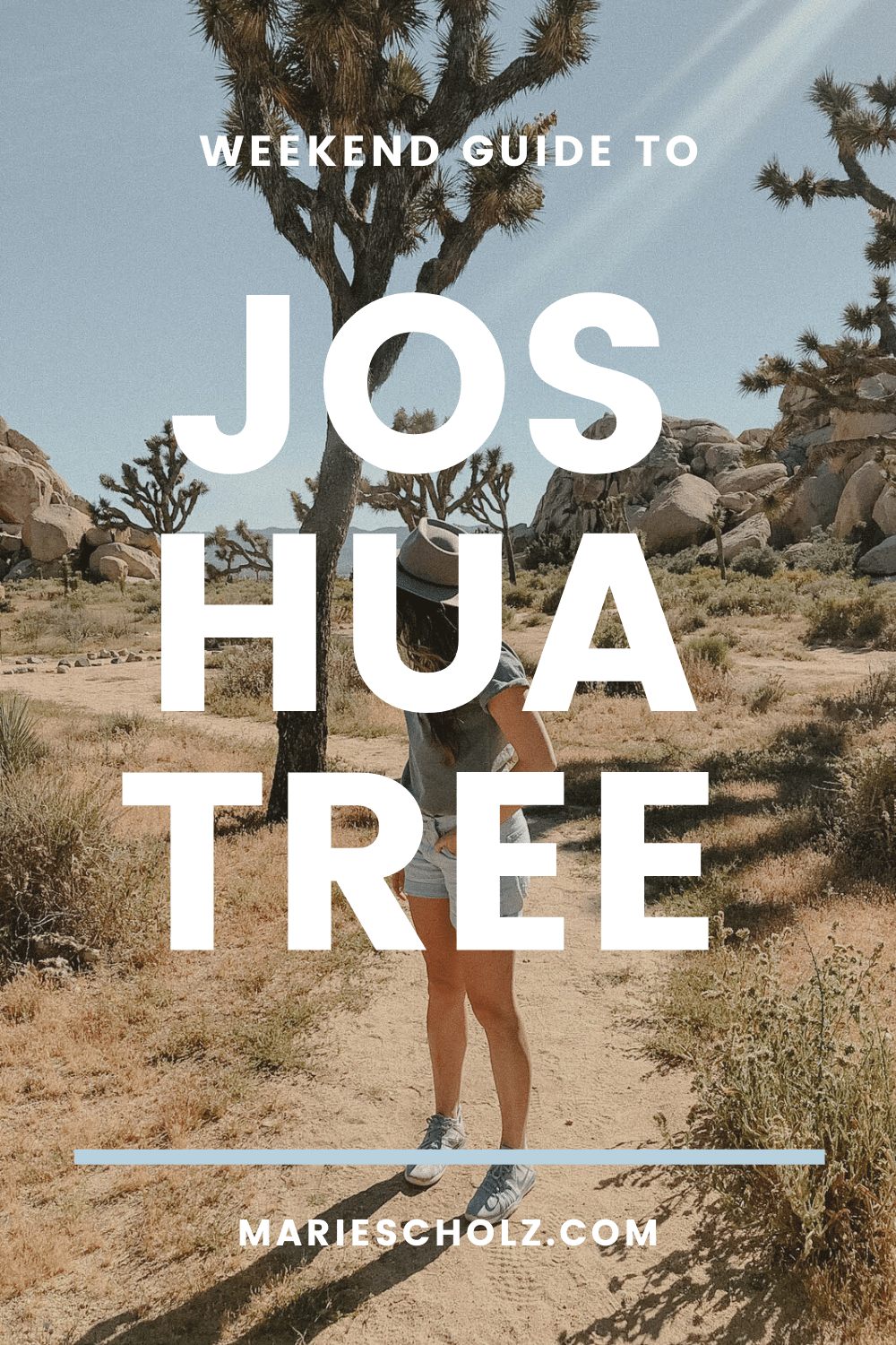 joshua tree weekend guide (1)