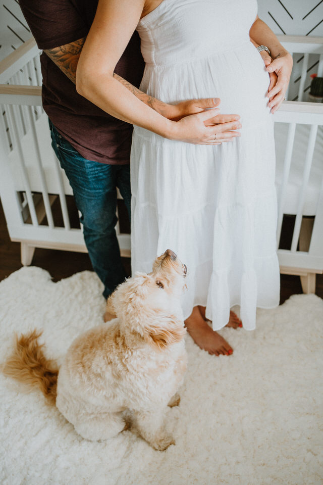 maternity session toronto ontario