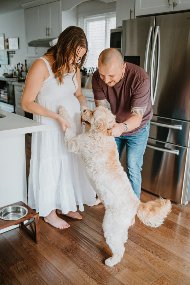 maternity session toronto ontario