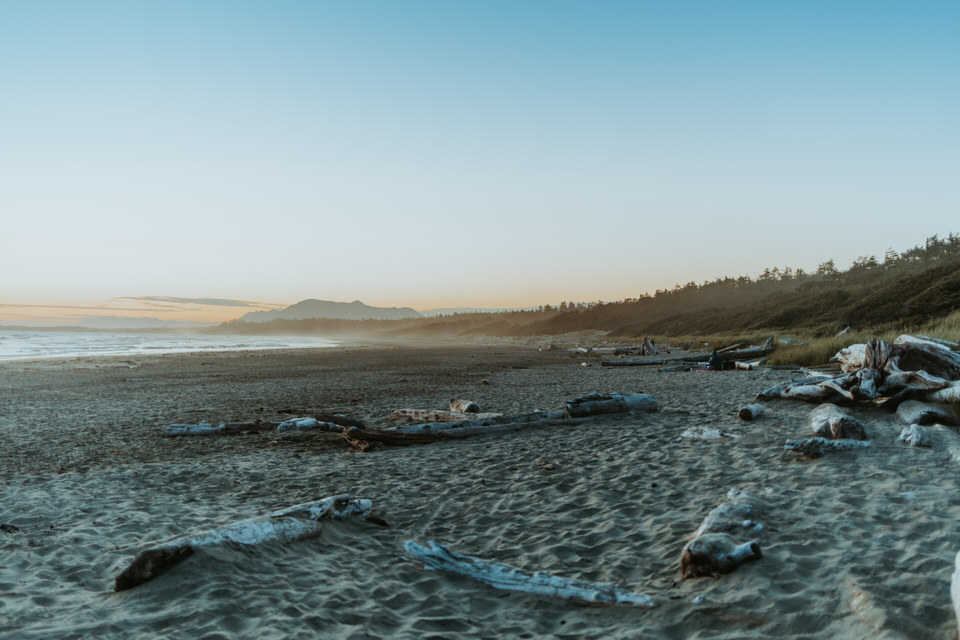 Surprise Proposal in Tofino British Columbia