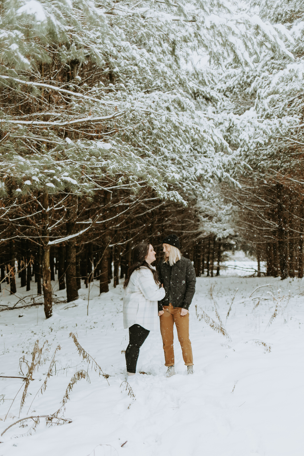 gay couple session in the blue mountains