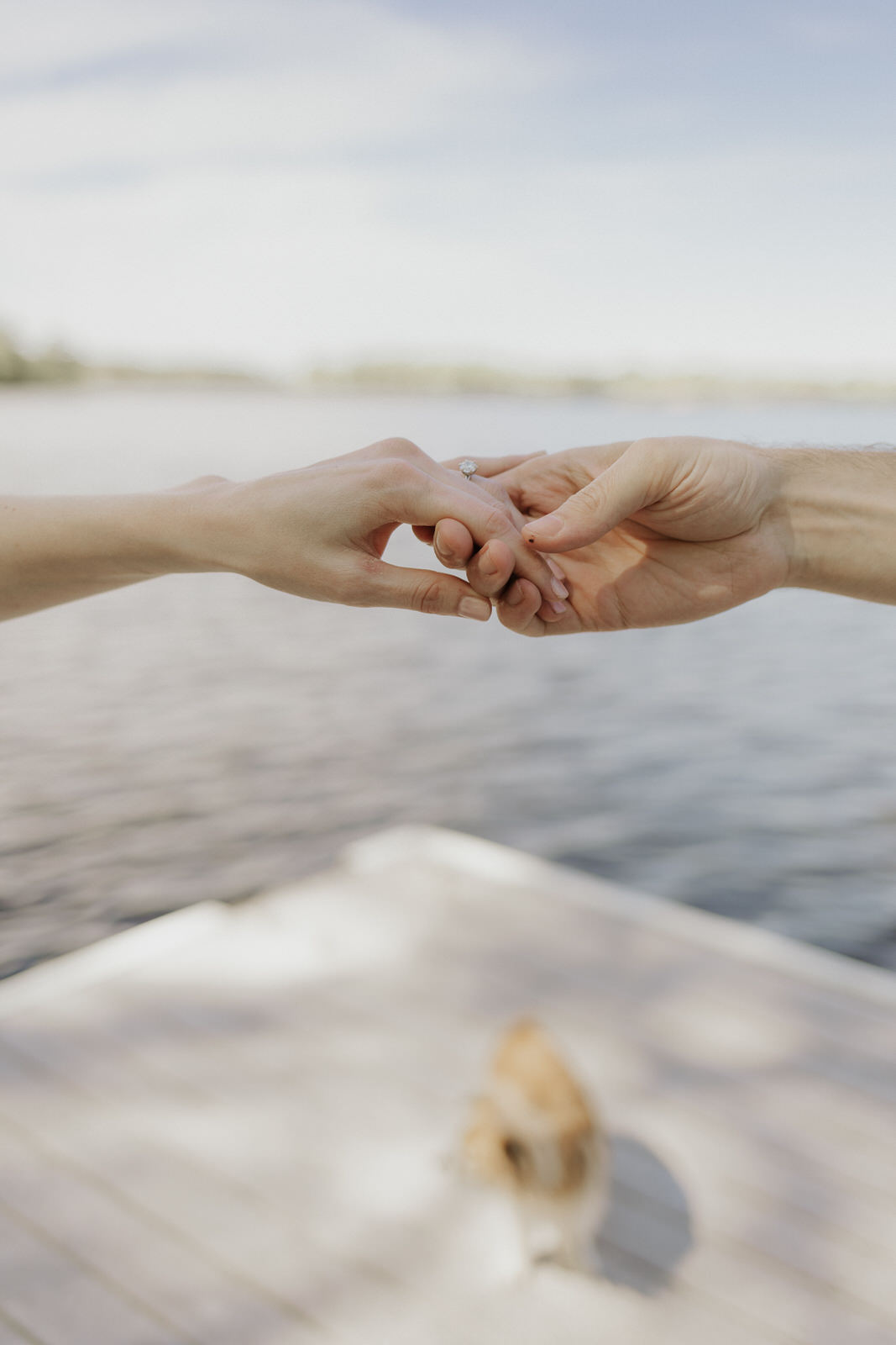 Sparrow Lake Muskoka Engagement