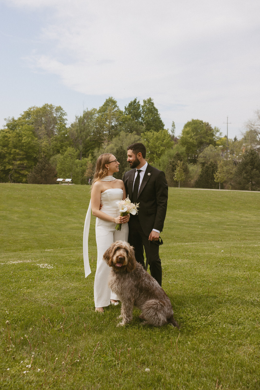 the blue mountains town hall wedding