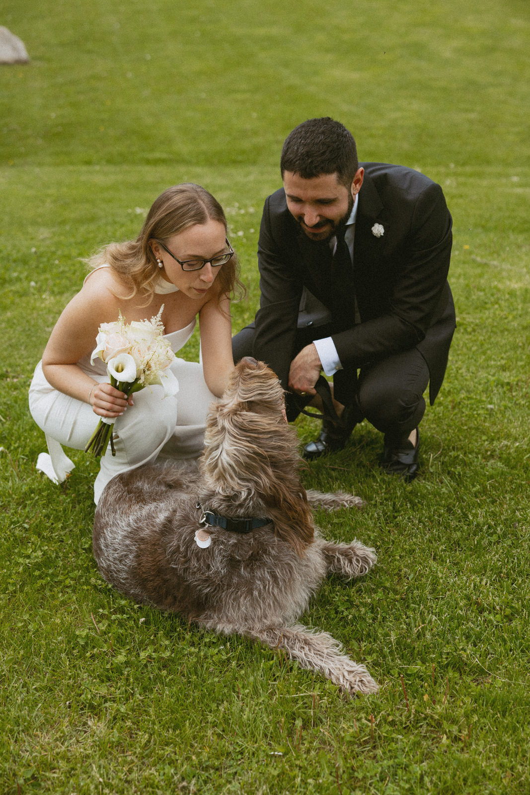 the blue mountains town hall wedding