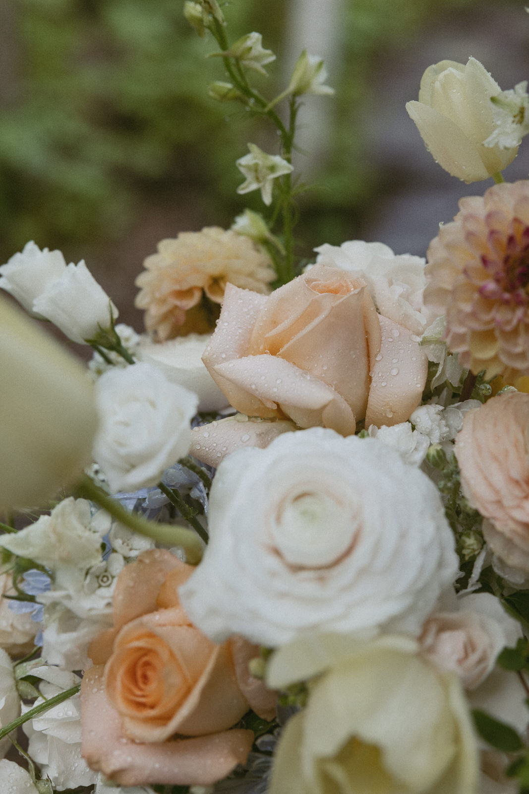 destination elopement tobermory