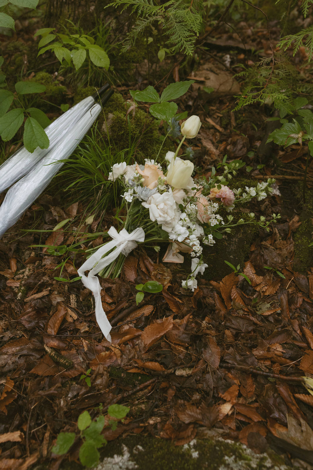 destination elopement tobermory