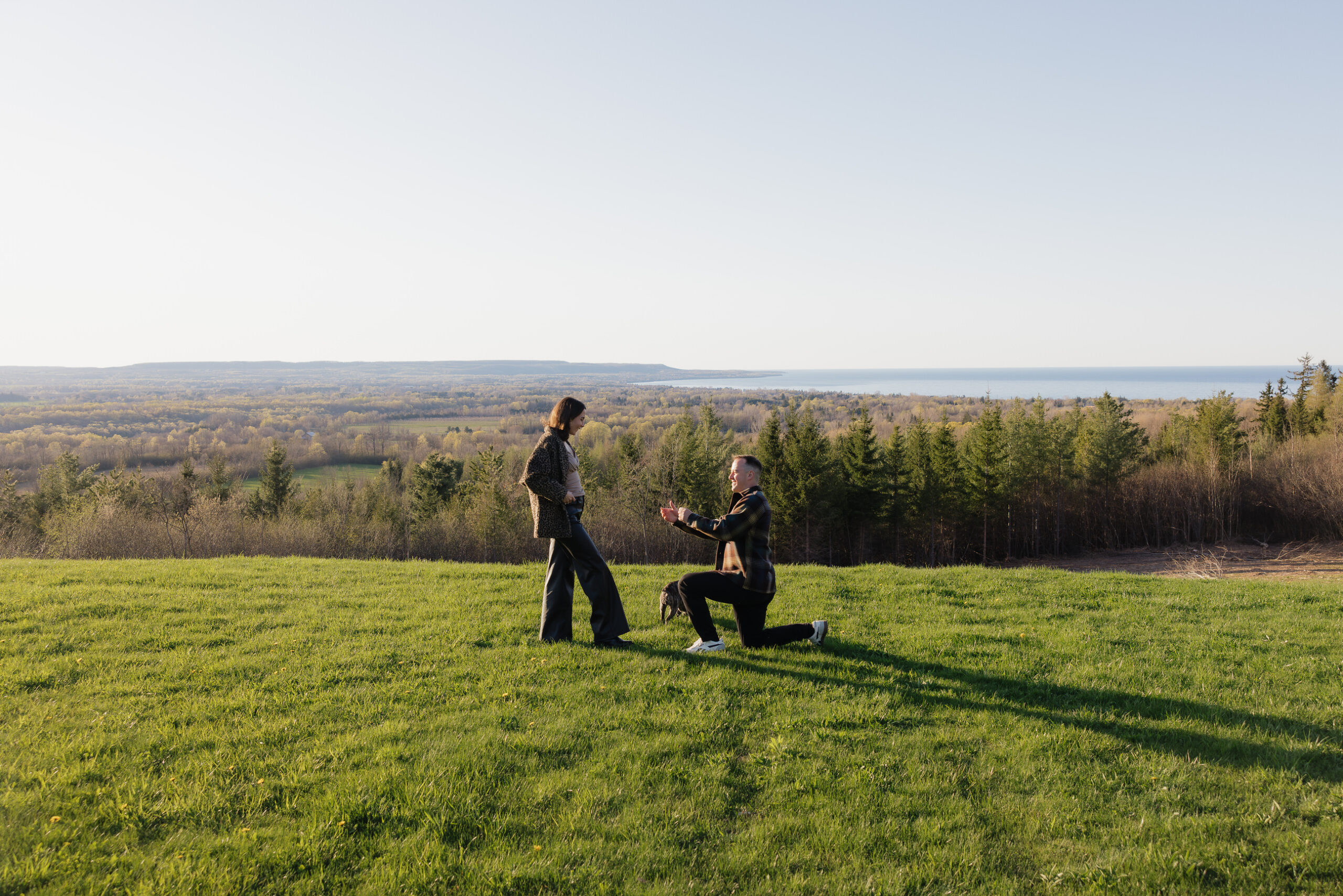 Surprise Engagement Session In The Blue Mountains
